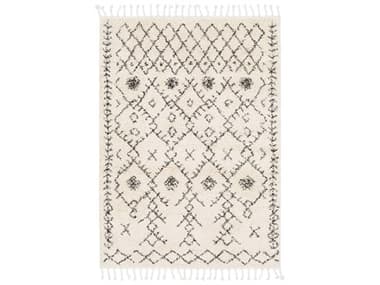 Livabliss by Surya Berber Shag Geometric Area Rug LIVBBE2302REC