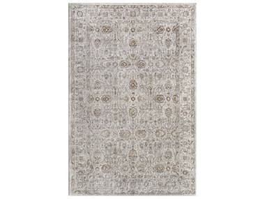 Livabliss by Surya Beyond Bordered Area Rug LIVBYD2303REC