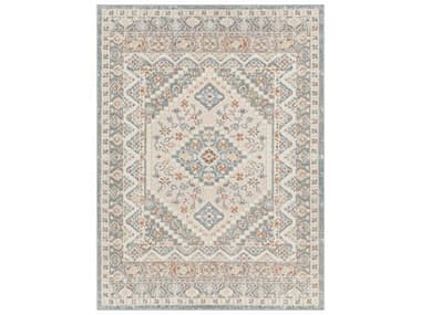 Livabliss by Surya Santana Bordered Runner Area Rug LIVSNN2302REC