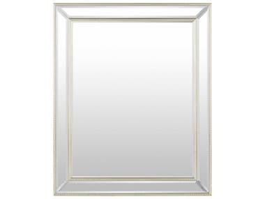 Livabliss by Surya Constantine Champagne Wall Mirror Rectangular LIVTTO0012822