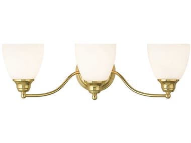 Livex Lighting Somerville 23" Wide 3-Light Polished Brass Glass Vanity Light LV1367302