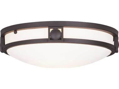 Livex Lighting Titania 13" 2-Light Bronze Glass Bowl Flush Mount LV448707
