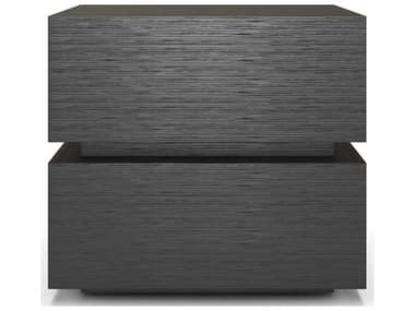 ModLuxe Davos 2-Drawers Black Ply Wood Nightstand MDLBRKNSWEN