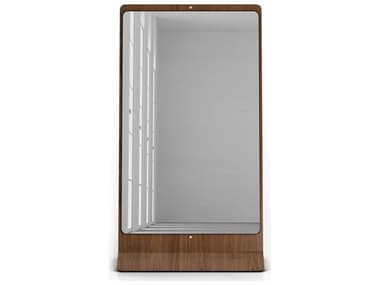 ModLuxe Strickland Smoked Glass Rectangular Floor Mirror MDLESP10003