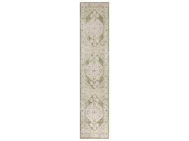 Nourison Astra Machine Washable Bordered Runner Area Rug NRASW11IVGRNRUN