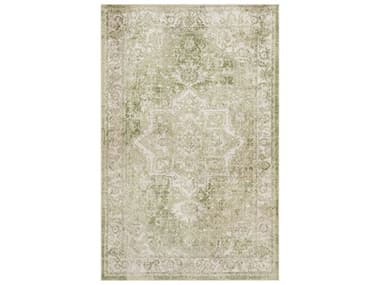 Nourison Astra Machine Washable Bordered Area Rug NRASW12IVGRNREC