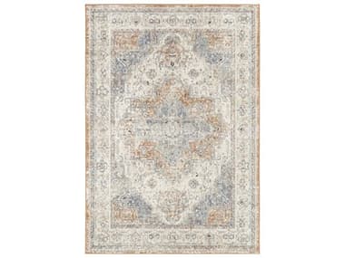 Nourison Essentials Persian Bordered Area Rug NRNRE07BGEBLREC