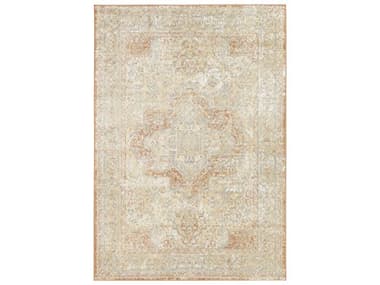 Nourison Essentials Persian Bordered Area Rug NRNRE07BGRUSREC