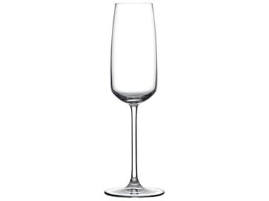 NUDE Mirage Clear Champagne Glass Set of 2 NUD660911052464