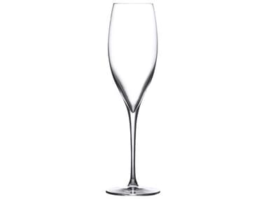 NUDE Terroir Clear Champagne Glass Set of 2 NUD660981070875
