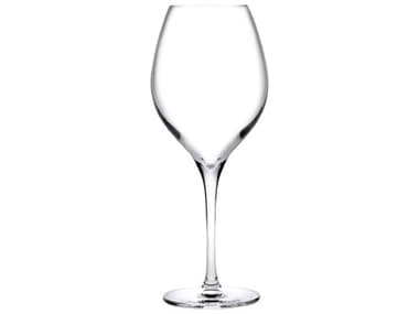 NUDE Vinifera Clear White Wine Glass Set of 2 NUD661021080820
