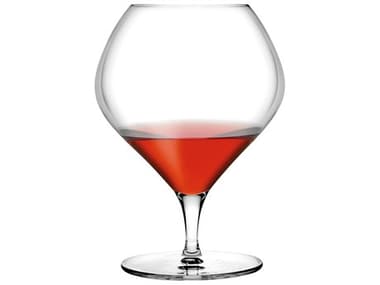 NUDE Fantasy Clear Cognac Glass Set of 2 NUD661031081355