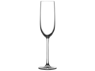 NUDE Vintage Clear Champagne Glass Set of 2 NUD661121052490