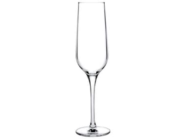 NUDE Refine Clear Champagne Glass Set of 2 NUD670941080832