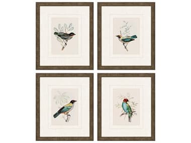 Paragon Animals On Perch-I Wall Art Set of 4 PAD13044