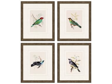 Paragon Animals On Perch-II Wall Art Set of 4 PAD13045