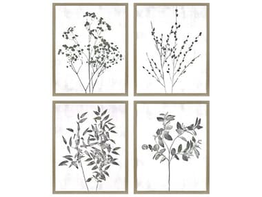 Paragon Photography Floral Wild Wall Art Set of 4 PAD14137