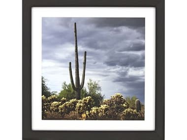 Paragon Photography Saguaro Centurion Wall Art PAD14190