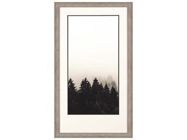 Paragon Photography Misty Peak-II Wall Art PAD14334