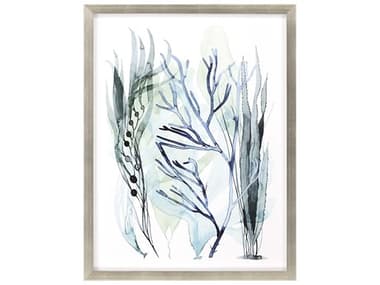 Paragon Naturals Sea Leaves-III Wall Art PAD14442