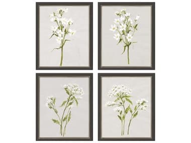 Paragon White Field Flowers Shadow Boxes Set of 4 PAD14452