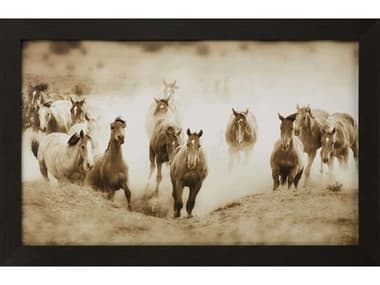 Paragon San Cristobol Horses Framed Print PAD14673
