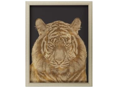 Paragon Tiger Portrait Shadow Box PAD14788