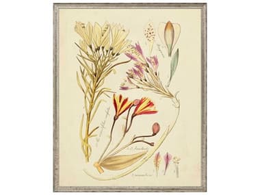 Paragon Florals Antique Sketch Wall Art PAD15423