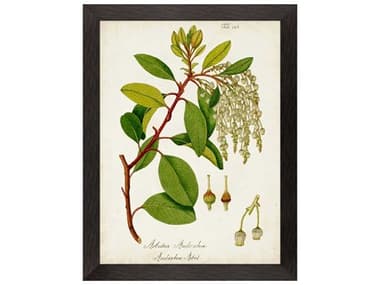 Paragon Florals Antique Greenery-IV Wall Art PAD15451