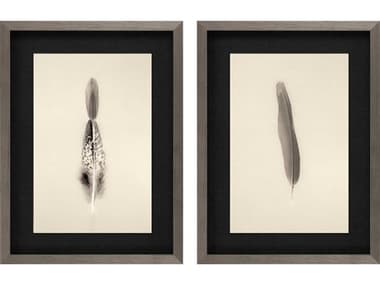 Paragon Naturals Floating Feathers-I Wall Art (Set of 2) PAD15568