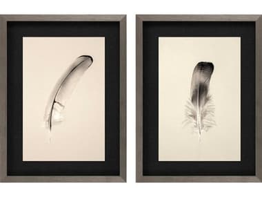Paragon Naturals Floating Feathers-II Wall Art (Set of 2) PAD15569