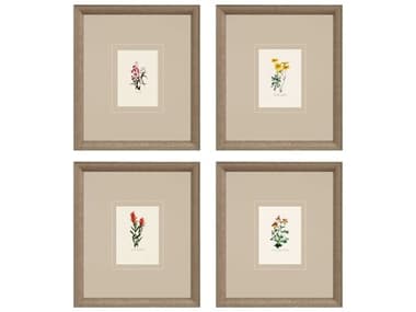 Paragon Florals Western Wildflower Wall Art (Set of 4) PAD15648