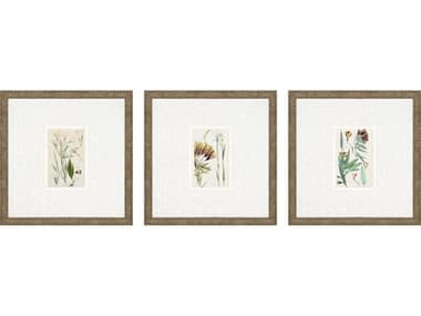 Paragon Florals Antique Botanical-I Wall Art (Set of 3) PAD15655