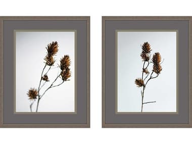 Paragon Florals Dried Bud Wall Art (Set of 2) PAD15664