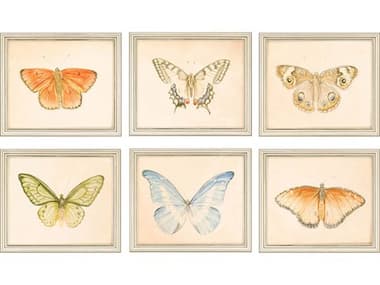 Paragon Animals Butterflies Wall Art Set of 6 PAD1569