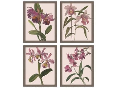 Paragon Florals Orchids Wall Art (Set of 4) PAD15740