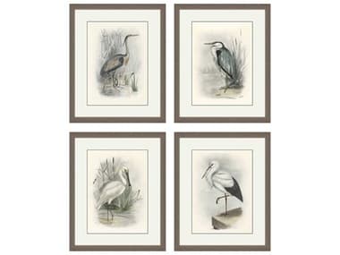 Paragon Animals Birds Wall Art (Set of 4) PAD15801