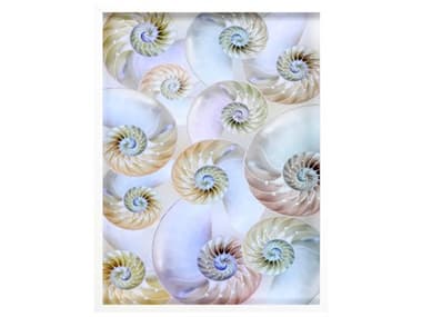 Paragon Waterside Nautilus Pattern Wall Art PAD15804