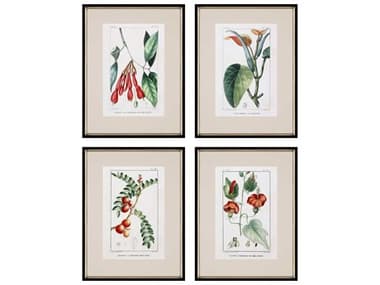 Paragon Florals Multi Tropical Botanicals-I Wall Art (Set of 4) PAD31094