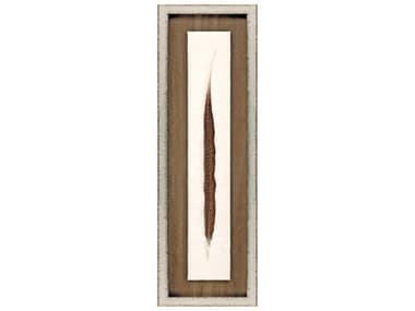 Paragon Pheasant Feather Shadow Box PAD31210