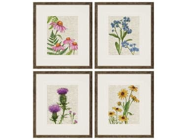 Paragon Florals Wildflowers Wall Art Set of 4 PAD31715