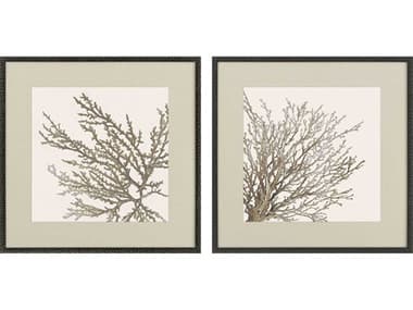 Paragon Naturals Taupe Coral Wall Art Set of 2 PAD31748