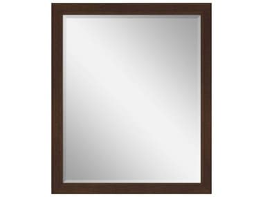 Paragon Brown Rectangular Wall Mirror PAD31769