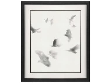 Paragon Animals Birds in Flight - Glide Wall Art PAD31798