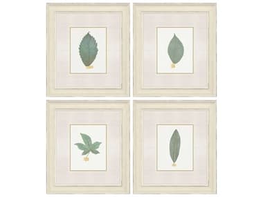 Paragon Florals Leaf Adorned-I Wall Art Set of 4 PAD31818