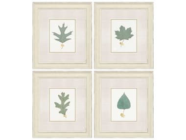 Paragon Florals Leaf Adorned-II Wall Art Set of 4 PAD31819