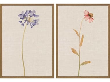 Paragon Florals Wild Flourish-I Wall Art Set of 2 PAD31844