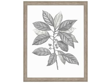 Paragon Silvered Leaves-IV Wall Art PAD31992