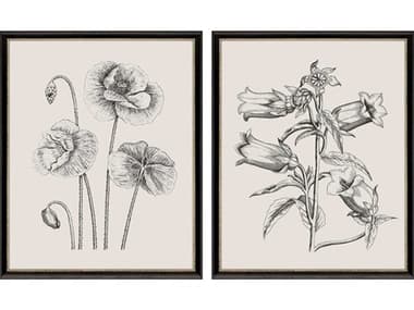 Paragon Garden Sketch Wall Art Set of 2 PAD31997