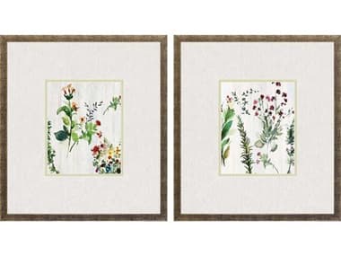 Paragon Forest Treasure Wall Art Set of 2 PAD32004